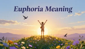 euphoria meaning