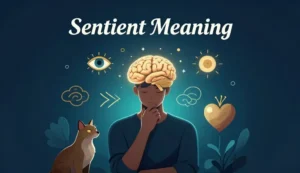 sentient meaning