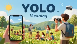 yolo meaning