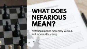 nefarious meaning