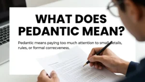 pedantic meaning