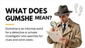 gumshoe meaning