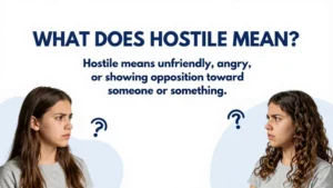hostile meaning
