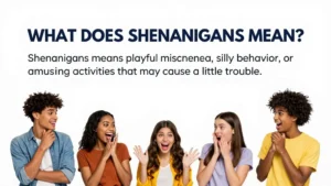 shenanigans meaning